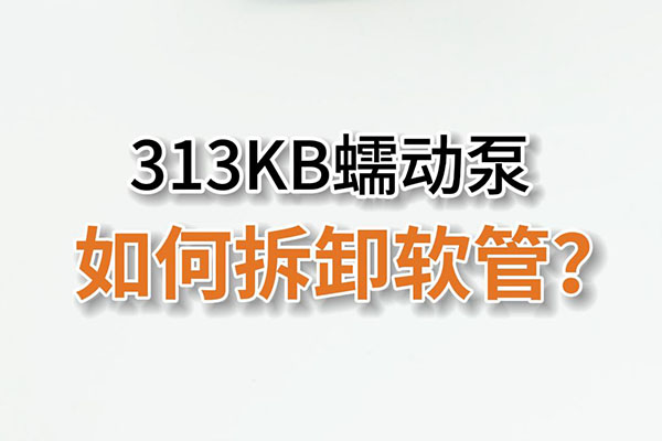 313KB蠕動(dòng)泵如何拆卸泵管